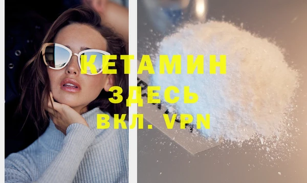 прущие грибы Белокуриха