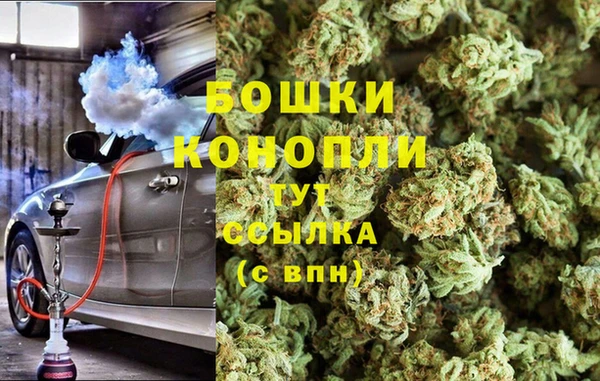 прущие грибы Белокуриха