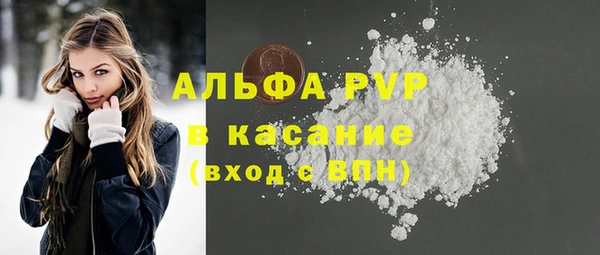прущие грибы Белокуриха