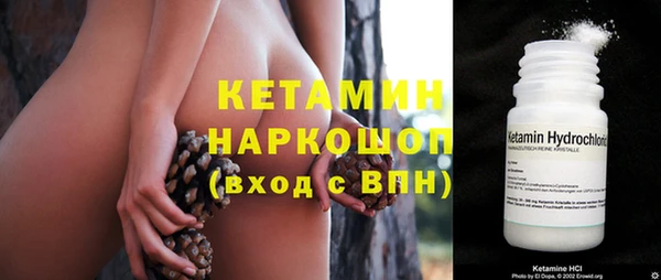 прущие грибы Белокуриха