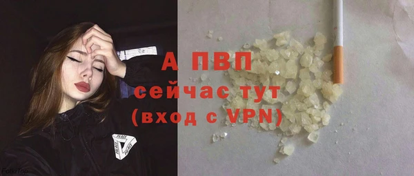 прущие грибы Белокуриха