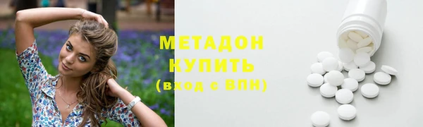 прущие грибы Белокуриха