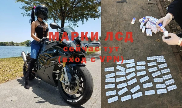 ALPHA PVP Беломорск