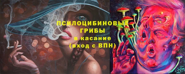 прущие грибы Белокуриха